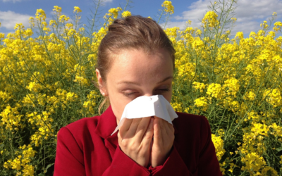 Pollen Allergies, Symptoms, Types, Treatments, Preventions