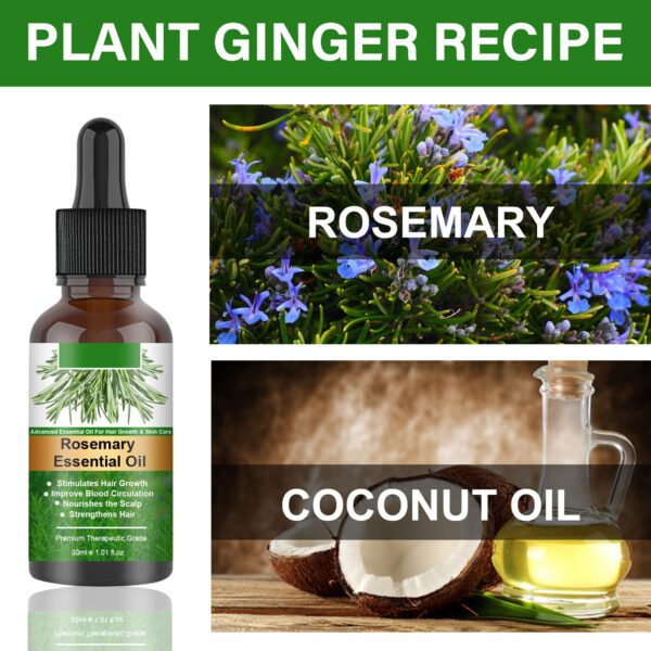 Rosemary oil - Image 4